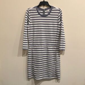 Gap Striped Dress 